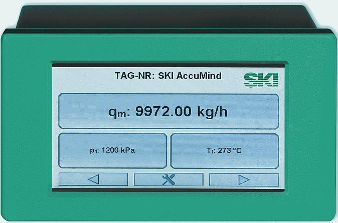 Вычислитель расхода монтаж на панель 4,3-дюймовый TFT-дисплей SKI AccuMind PM Расходомеры